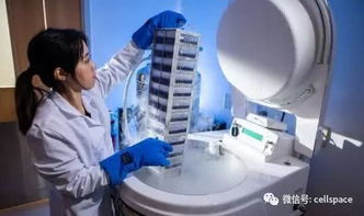 从自体细胞到抗癌战士 干细胞与免疫细胞储存及生物转化医学的革新路径