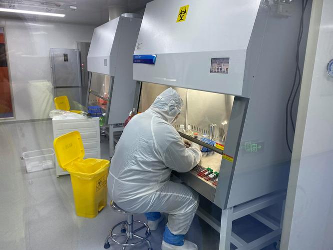 上海细胞总库 免疫细胞及干细胞存储及应用把行业价格打下来!