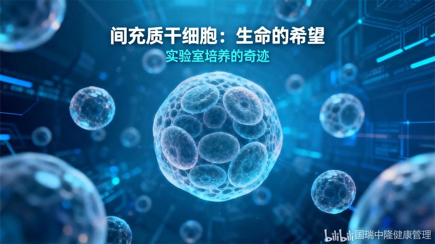 聚焦生物科技运营中心 国家围产期干细胞与再生医学技术转化的创新实践